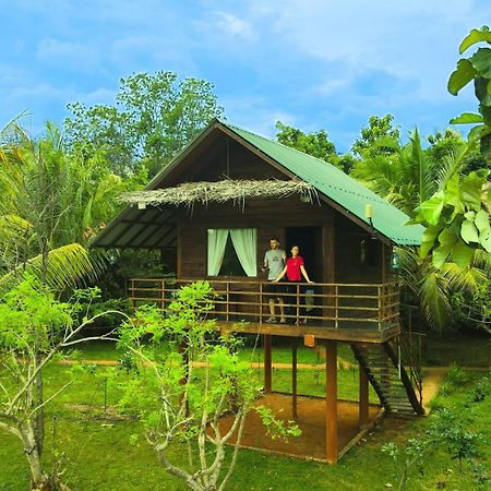 Chena Huts Eco Resort สิกิริยา ภายนอก รูปภาพ