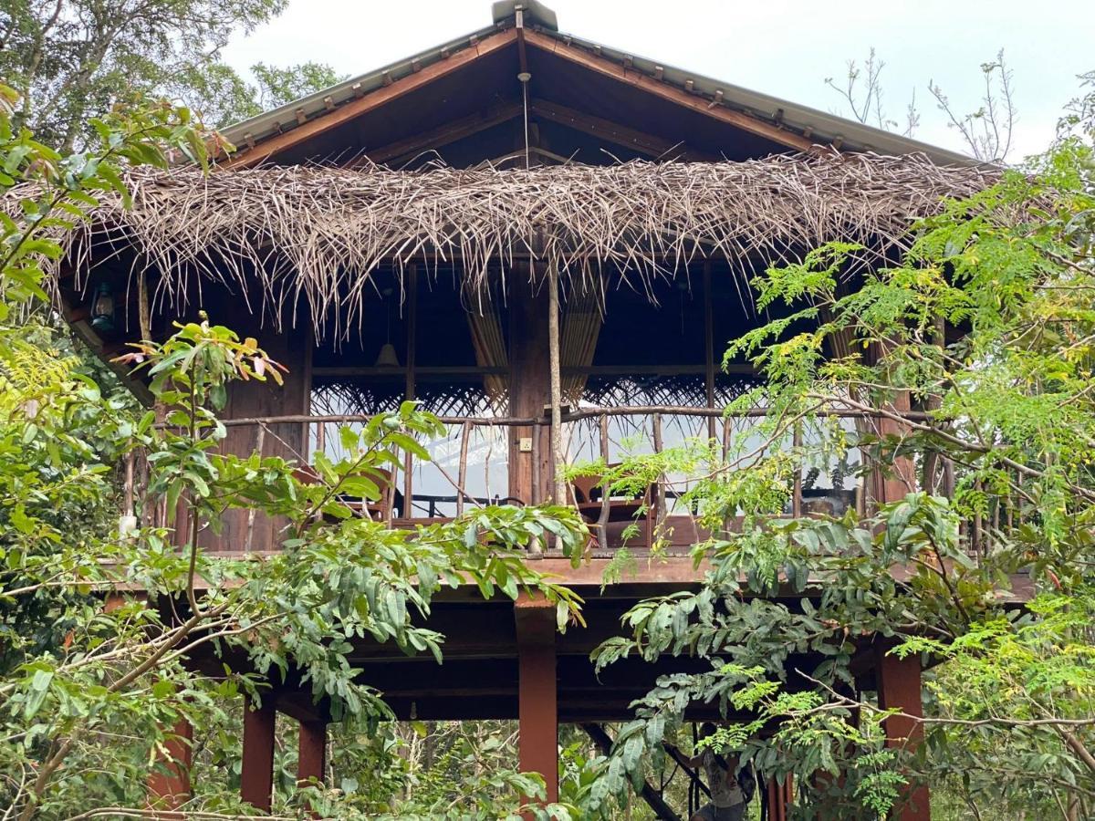Chena Huts Eco Resort สิกิริยา ภายนอก รูปภาพ