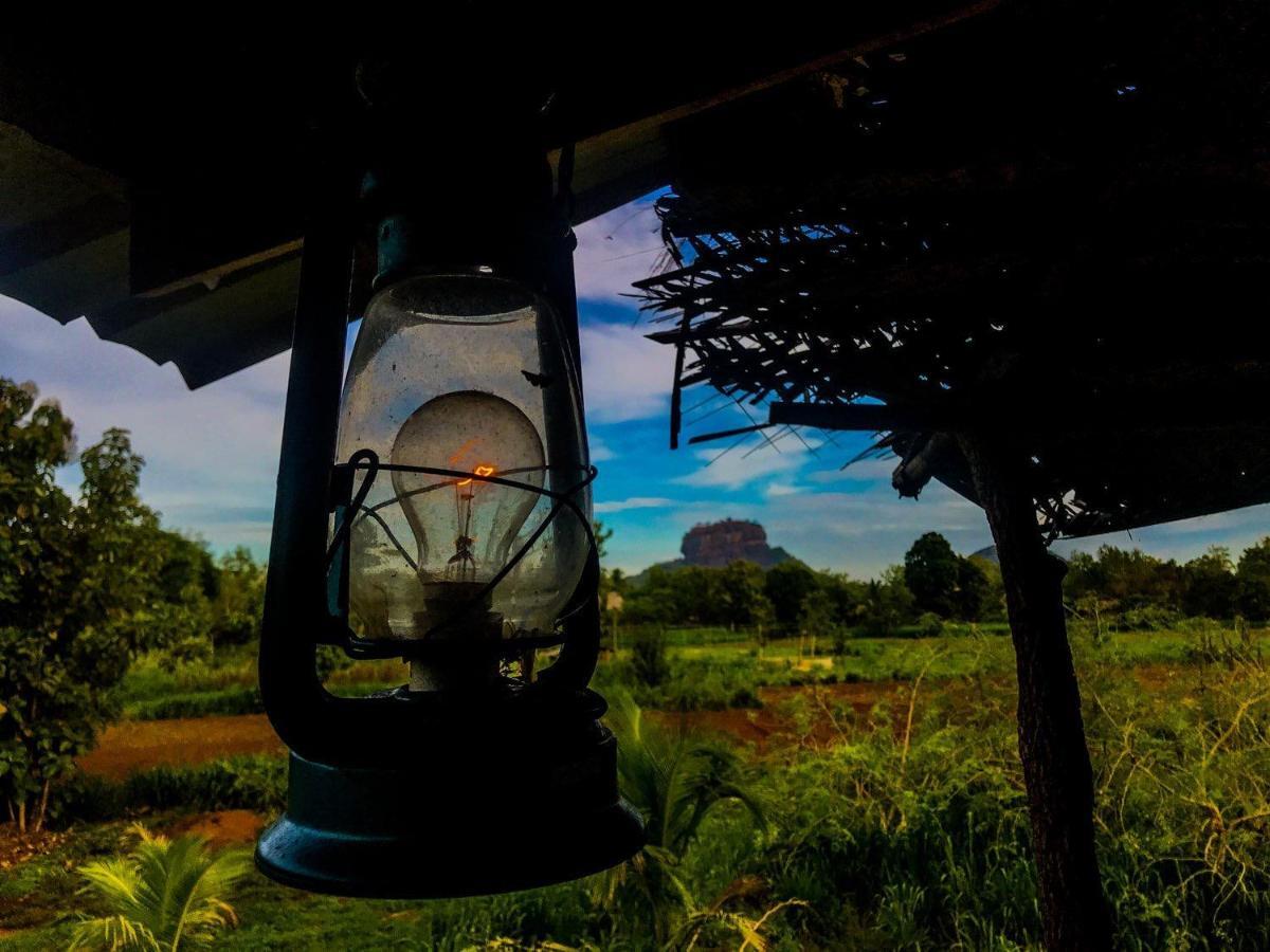 Chena Huts Eco Resort สิกิริยา ภายนอก รูปภาพ